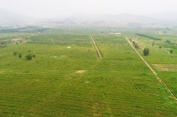 玉米基地